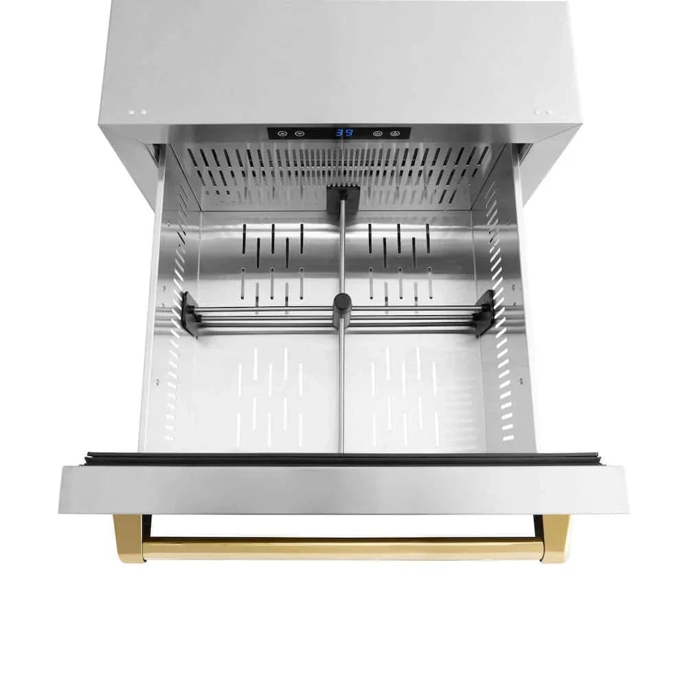 ZLINE 24" Touchstone 168 Can Outdoor-Rated Dual Refrigerator Drawer, Gold, RDSOZ-ST-24-G