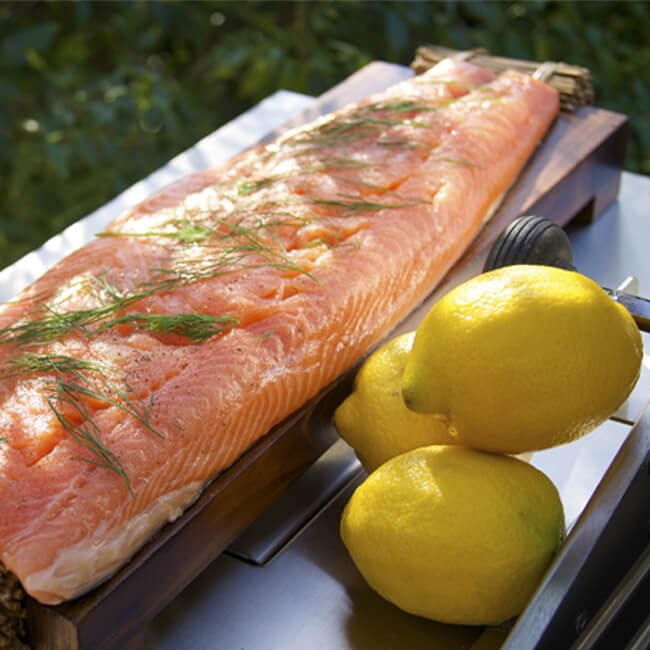 American Outdoor Grill 24NBT T-Series 2-Burner Built-In Natural Gas Grill W/ Rotisserie Kit, 24" [24NBT] (SAK65205)