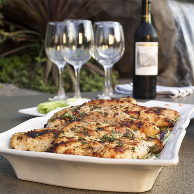 American Outdoor Grill 24NBT T-Series 2-Burner Built-In Natural Gas Grill W/ Rotisserie Kit, 24" [24NBT] (SAK65205)