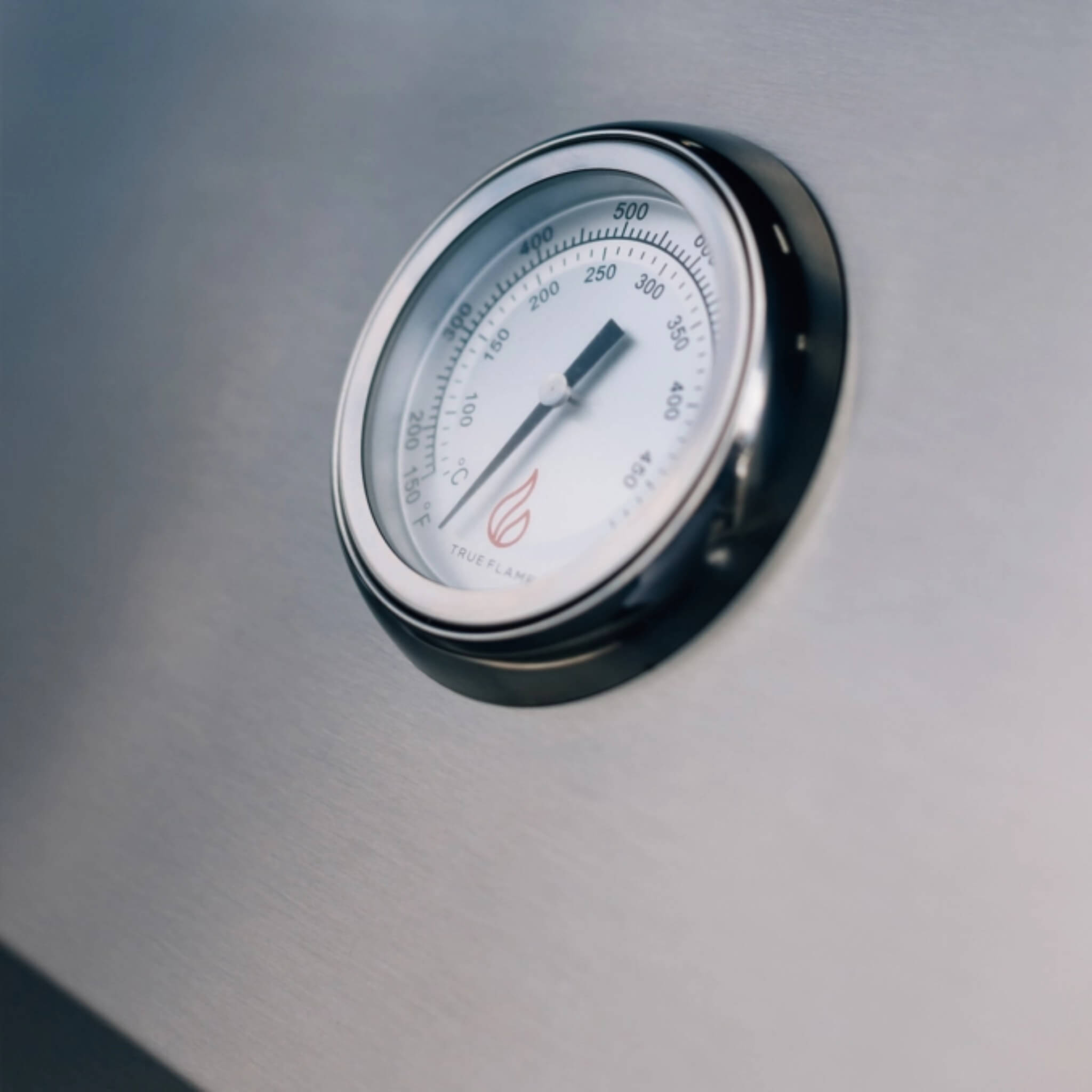 TrueFlame E-Series Built-In Stainless Steel Gas Grill [TFE25/32] (SAK13784)